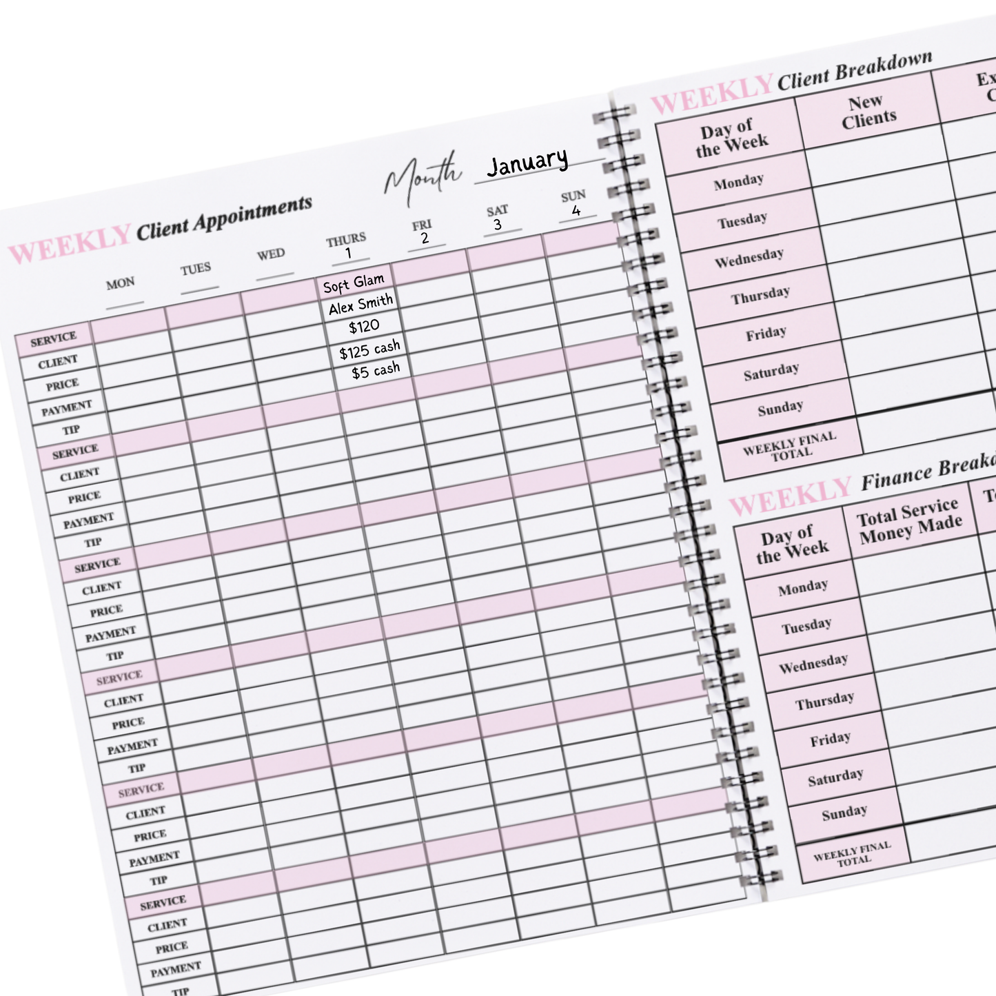 Client Income & Expense Planner